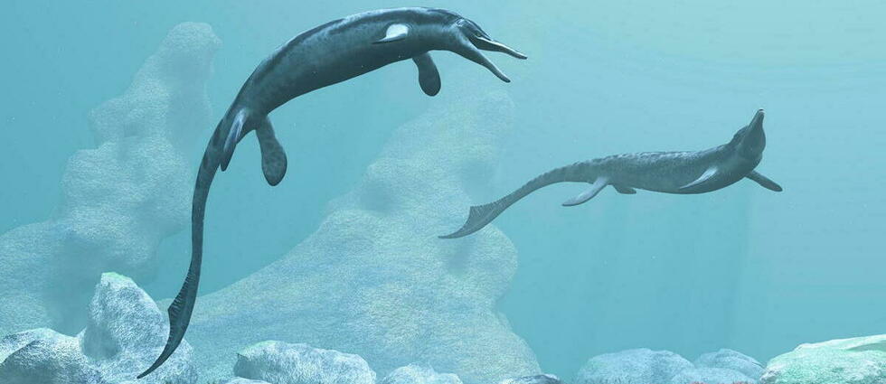 Un dragon des mers de plus de 90 millions d’années découvert en Angleterre