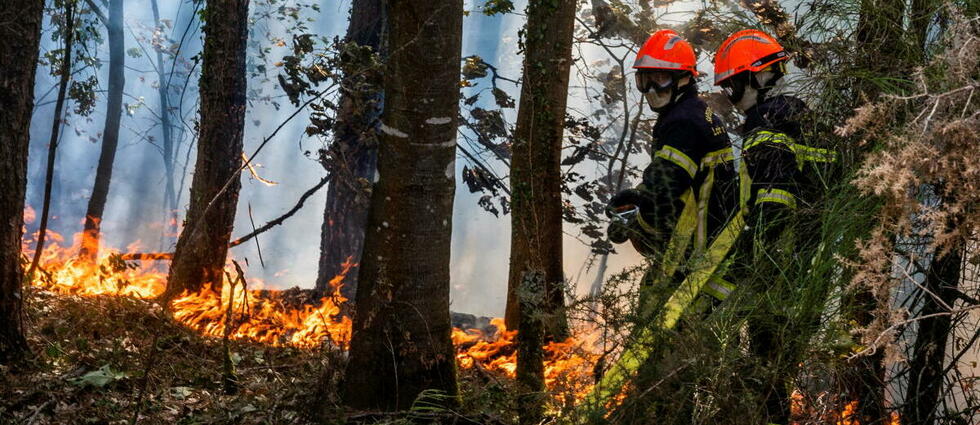 Incendies en France : les flammes de Brocéliande nous hanteront longtemps