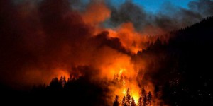 Union européenne : un été record de surfaces brûlées