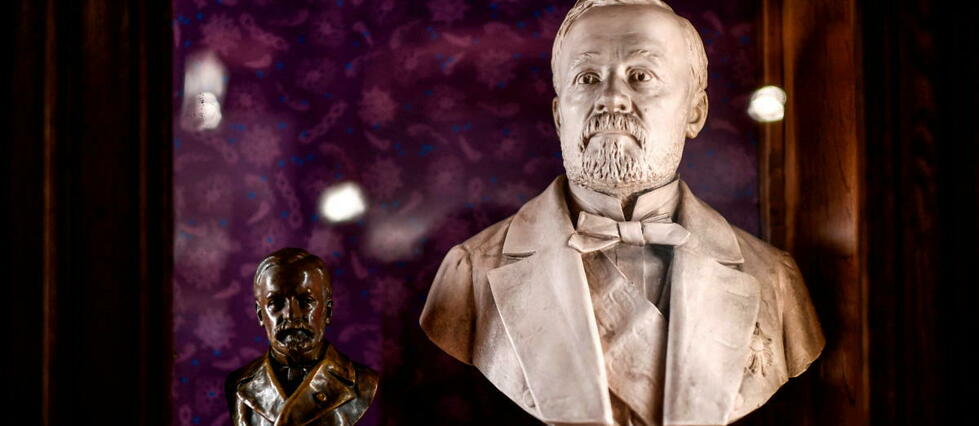 Bicentenaire de Louis Pasteur : ces découvertes méconnues