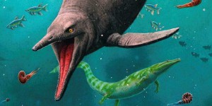 Le mystère du plus vieux poisson-lézard préhistorique
