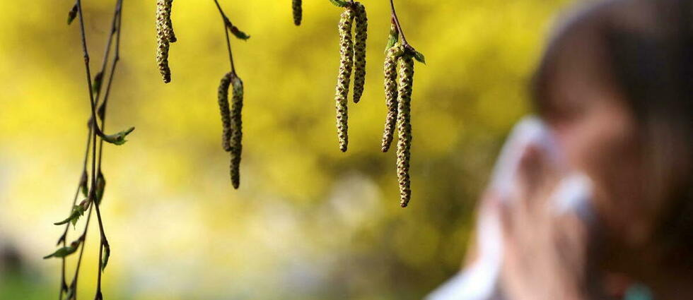 Les allergies au pollen boostées par le changement climatique
