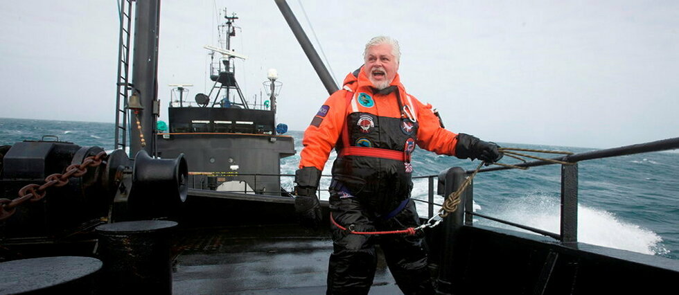 Paul Watson : à 73 ans, une nouvelle vie au secours des baleines