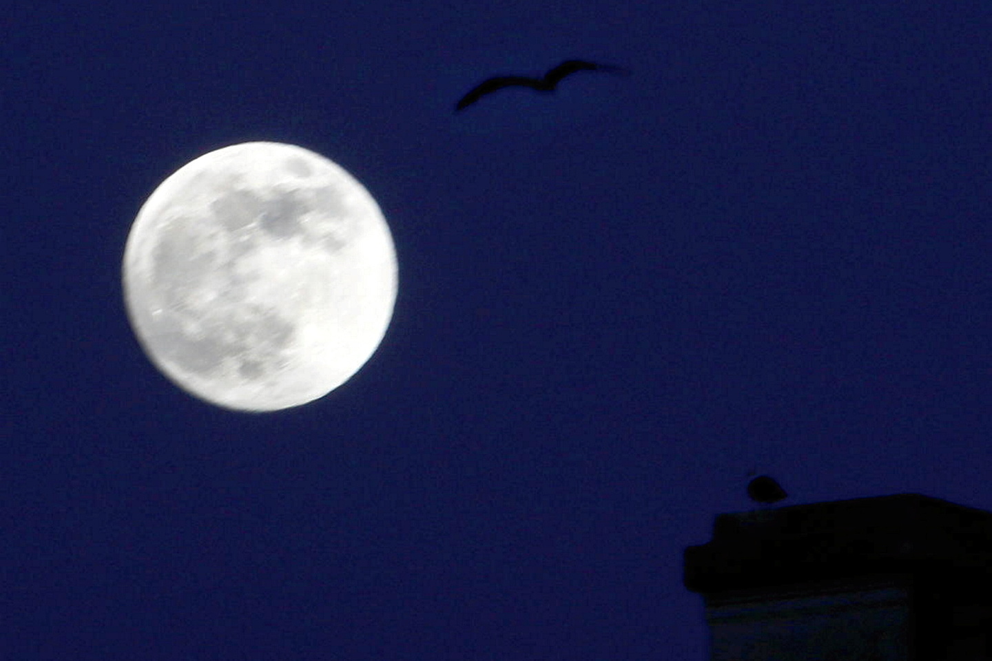 Qu’est-ce que la super lune du cerf, observable ce lundi soir ?