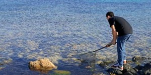 Corse : une start-up transforme des méduses… en engrais