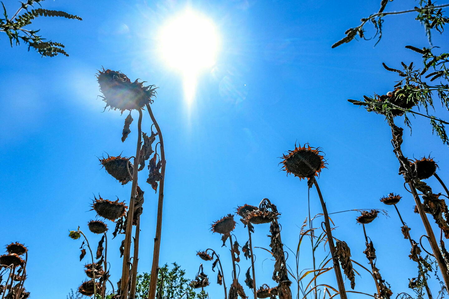 Météo : soleil et chaleur sur l’Hexagone, des températures estivales au Sud