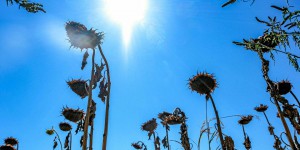 Météo : soleil et chaleur sur l’Hexagone, des températures estivales au Sud