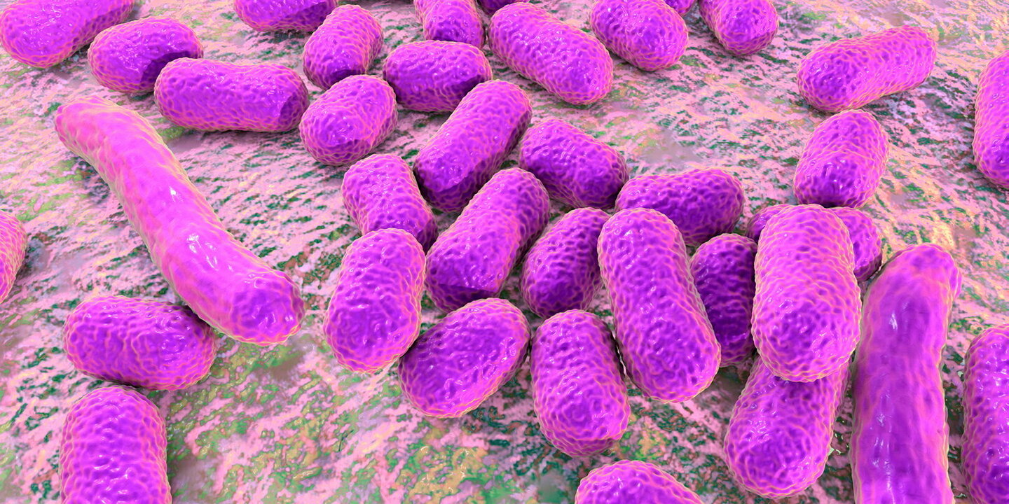 <span class='cnt-hdr-cmp__sctn'>oncologie</span> - Des bactéries pour détecter le cancer du côlon