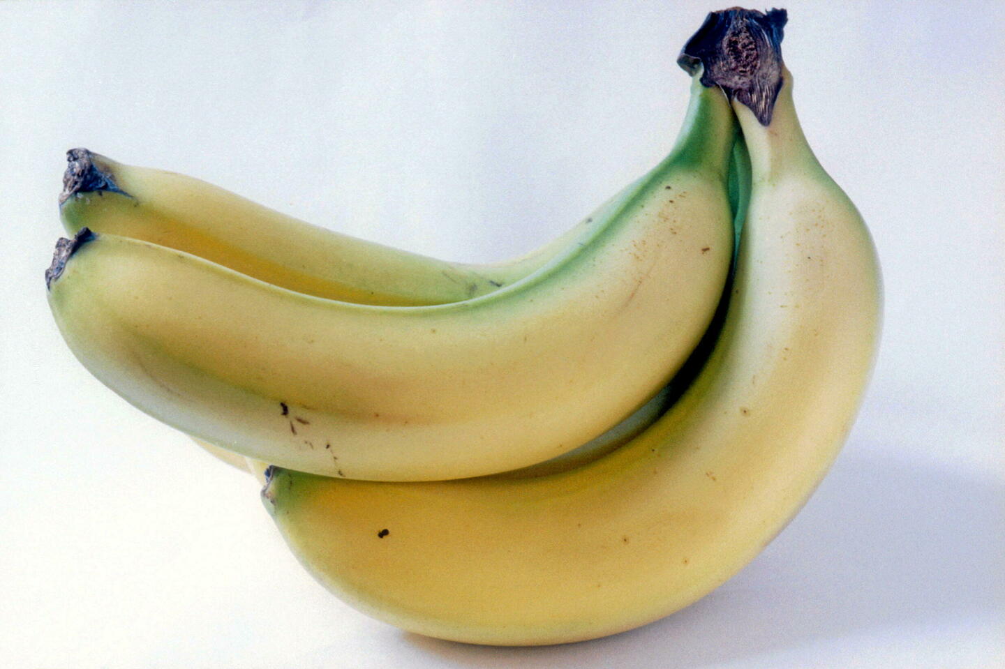 Menacée par un champignon, la banane la plus populaire au monde pourrait disparaître