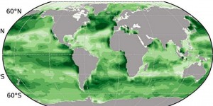 Climat : les océans absorberaient 20 % de CO2 de plus qu’estimé