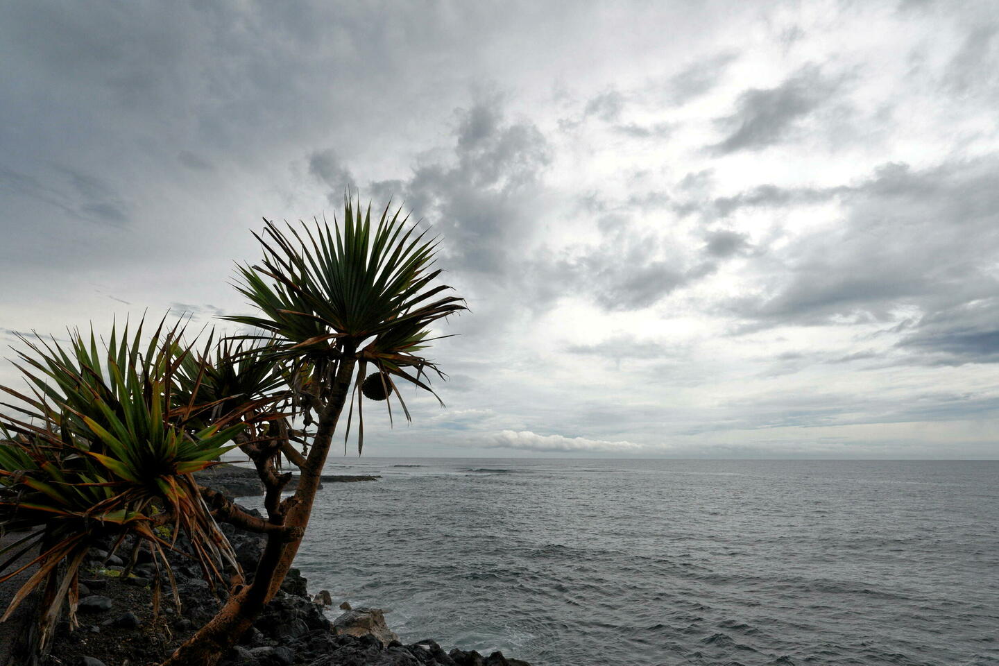 La Réunion en alerte violette : pourquoi le cyclone Belal est annoncé comme historique