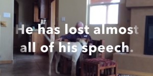 Ses derniers mots pour son chien? (vidéo)