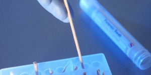 Tueurs du Brabant : « Les kits d’analyse ADN se sont considérablement améliorés »