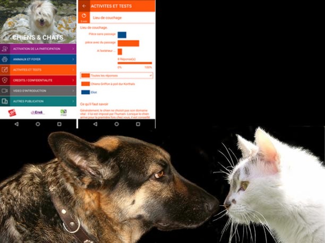 «Chiens & chats», une appli au service des scientifiques de l’Université de Namur 