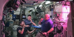 Des astronautes ont goûté de la salade cultivée dans l’espace 