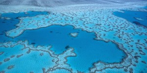 La crème solaire endommage les récifs coralliens 
