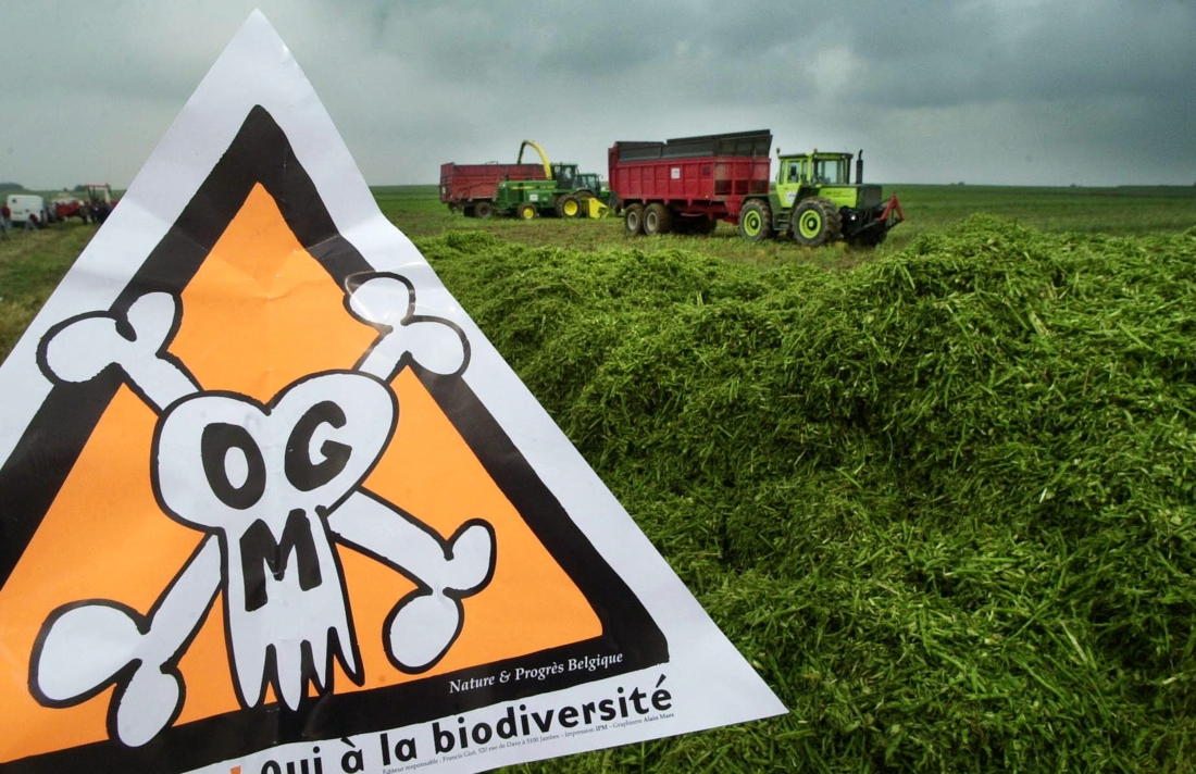 Non quasi unanime aux OGM «à la carte» en Europe 