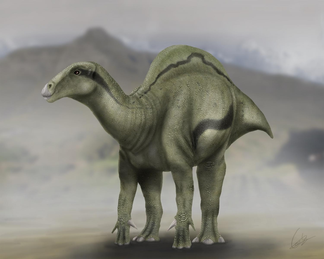 Un dinosaure avec un voile sur le dos découvert en Espagne : l’expert explique 