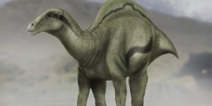 Un dinosaure avec un voile sur le dos découvert en Espagne : l’expert explique 