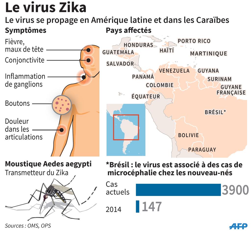 Zika, la menace des femmes enceintes 