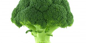 Le brocoli : nouvel aliment miracle contre les cancers 