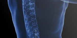 Mal de dos : un implant pour court-circuiter la douleur 