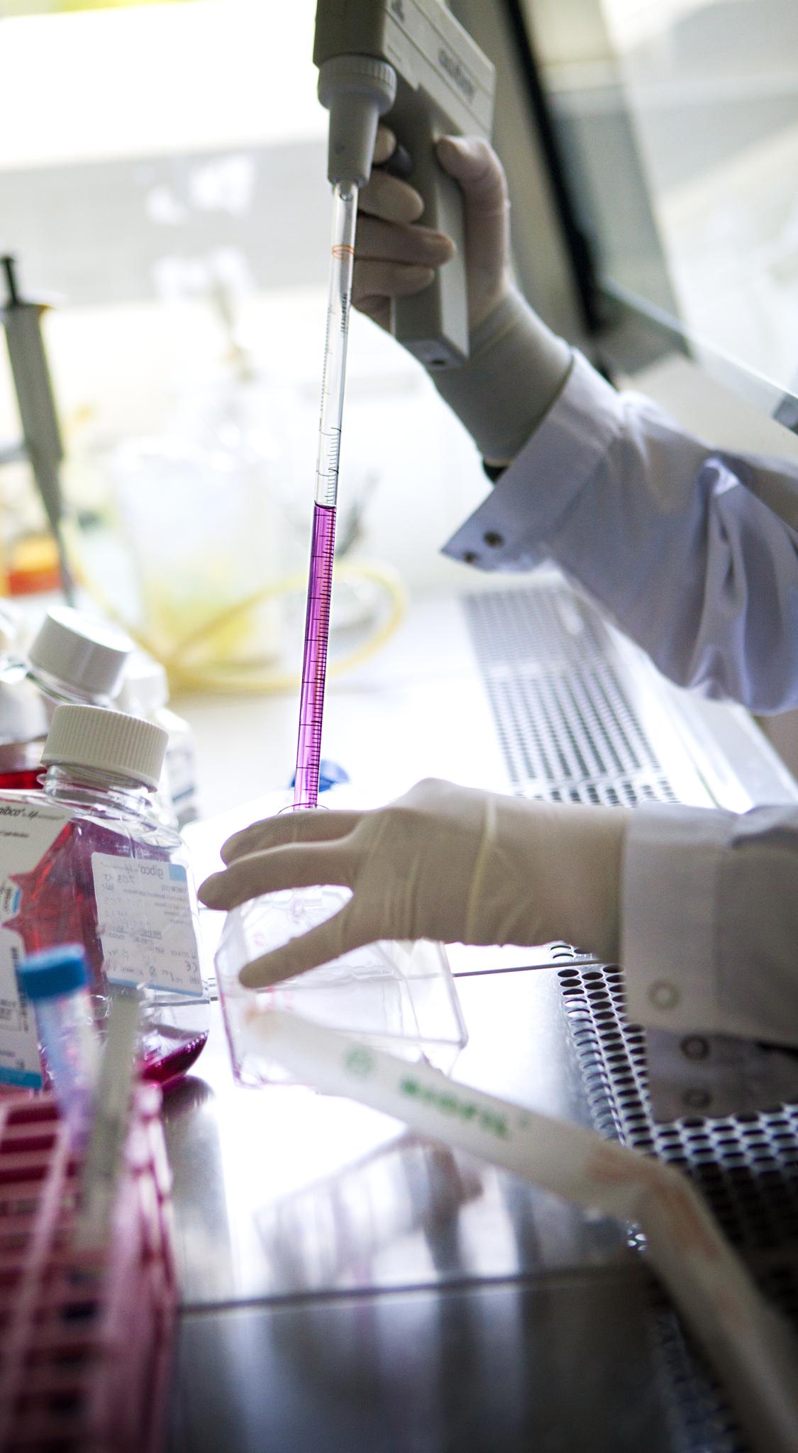 Cancer du foie: médoc «OGM» à l’essai 