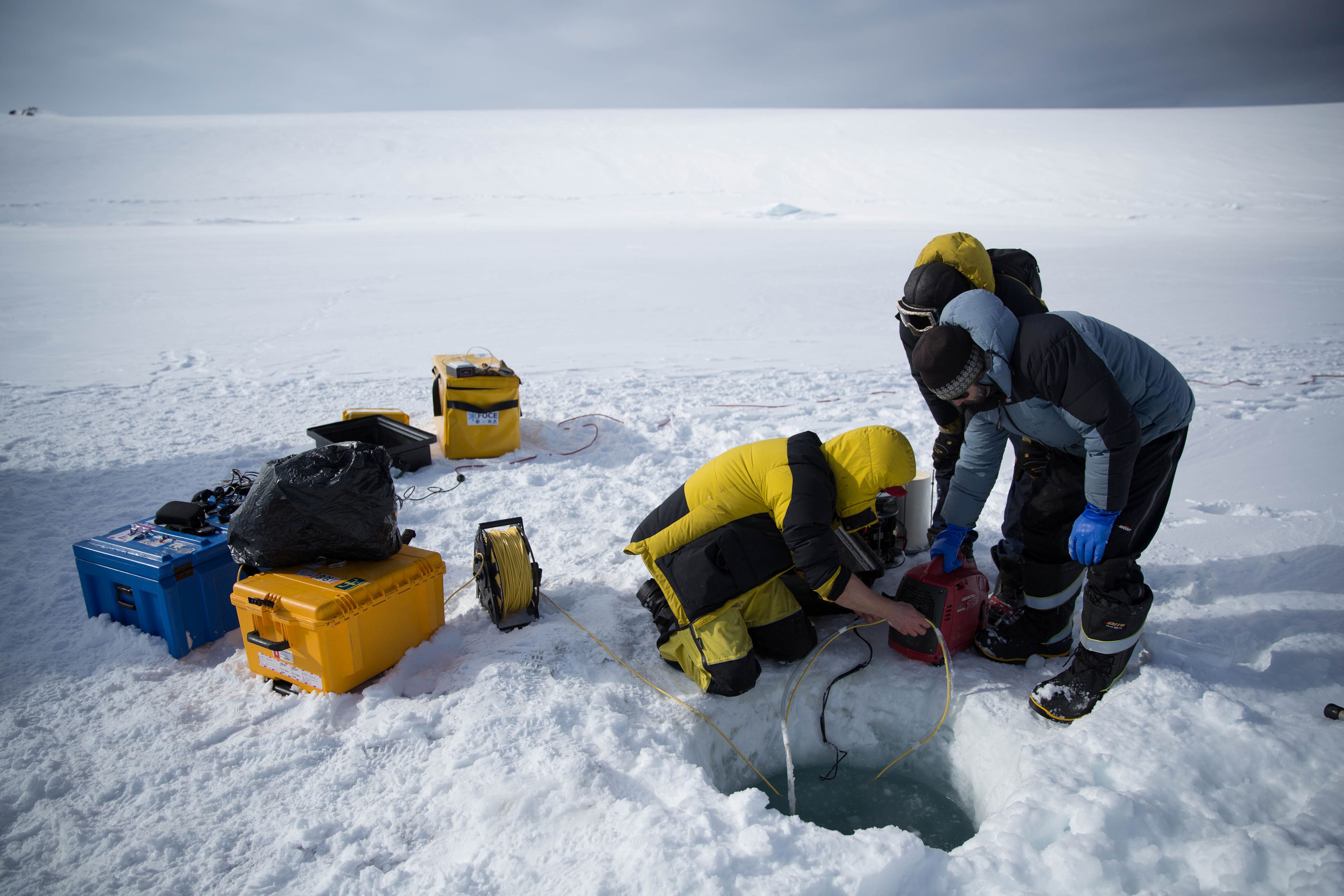 Sous la glace, la vie: un robot filme sous l’Antarctique 