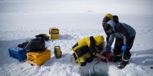 Sous la glace, la vie: un robot filme sous l’Antarctique 
