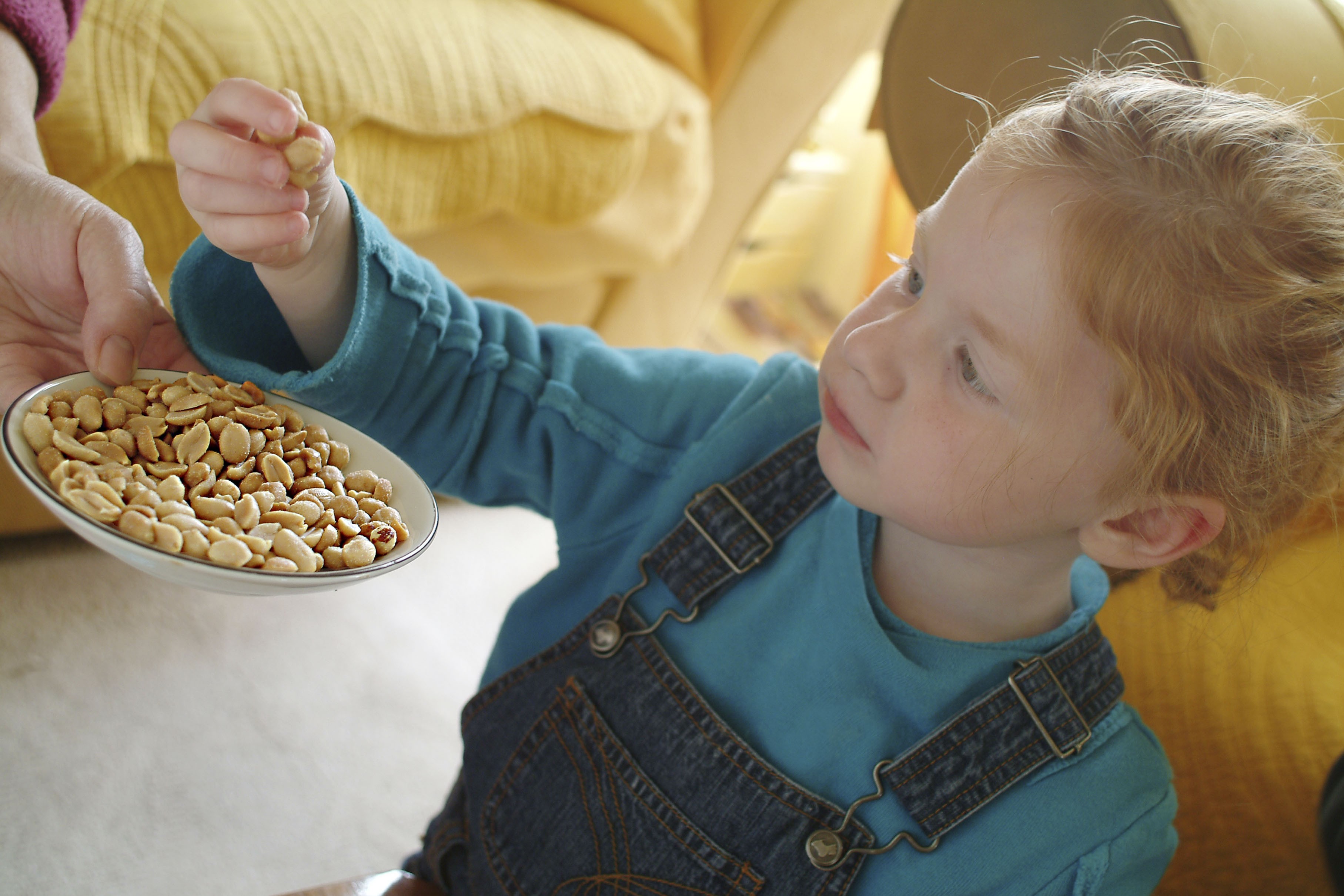 Eviter les allergies en donnant des cacahuètes aux enfants 