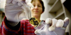 Cannabis: légaliser ne signifie pas banaliser 