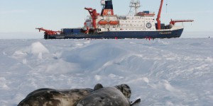 Des chercheurs belges en mission au large des côtes de l’Antarctique 