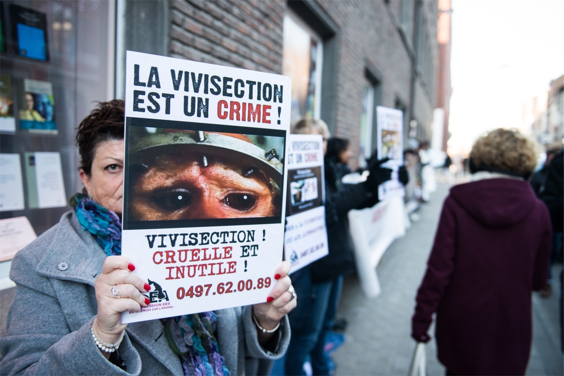VIDÉO | Namur: dix manifestants contre les expérimentations animales à l'université 