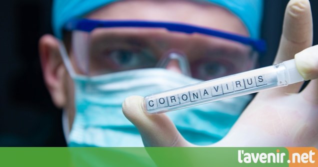 Des centres de recherche européens collaborent à une thérapie contre les coronavirus 