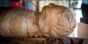 VIDÉO | La momie du musée du Cinquantenaire avait des abcès dentaires 