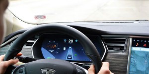 Vidéo : en Autopilot, cette Tesla évite un sanglier de façon spectaculaire