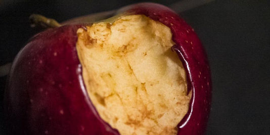Qui veut manger une pomme OGM ?