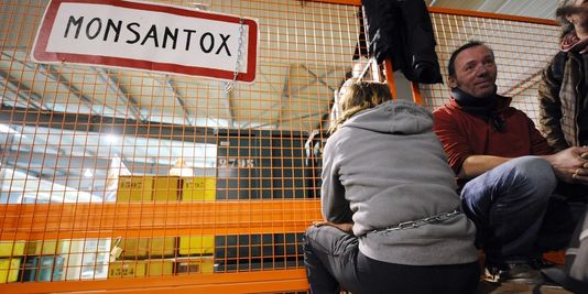 Des militants anti-OGM ont occupé des locaux de Monsanto dans l'Aude