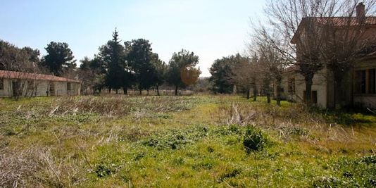 Comment changer un camp militaire grec en jardins communautaires bio