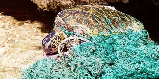 Les fonds marins également très pollués par les déchets humains