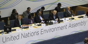 L'ONU lance sa première Assemblée pour l'environnement