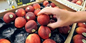 La France et l'UE au secours des producteurs de fruits et légumes