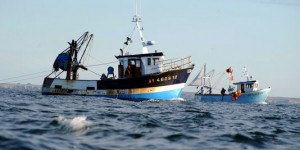 L'UE autorise les importations de harengs des îles Féroé