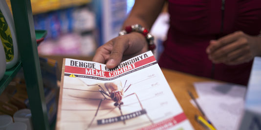La progression du chikungunya ralentit aux Antilles