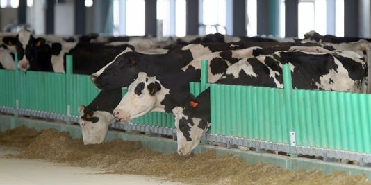 Le blocage s'organise autour de la ferme des Mille Vaches