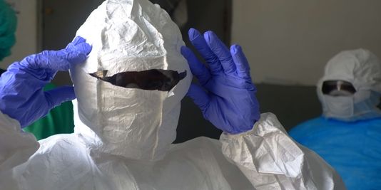 Ebola : « La France va envoyer cinq réservistes sanitaires en Guinée »