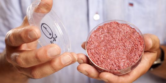La viande in vitro va-t-elle révolutionner l'alimentation de l'homme ?