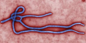 Ebola : une personne placée à l'isolement à Hawaï