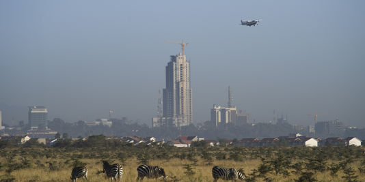 Au Kenya, le parc national de Nairobi au bord de l’asphyxie