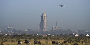 Au Kenya, le parc national de Nairobi au bord de l’asphyxie